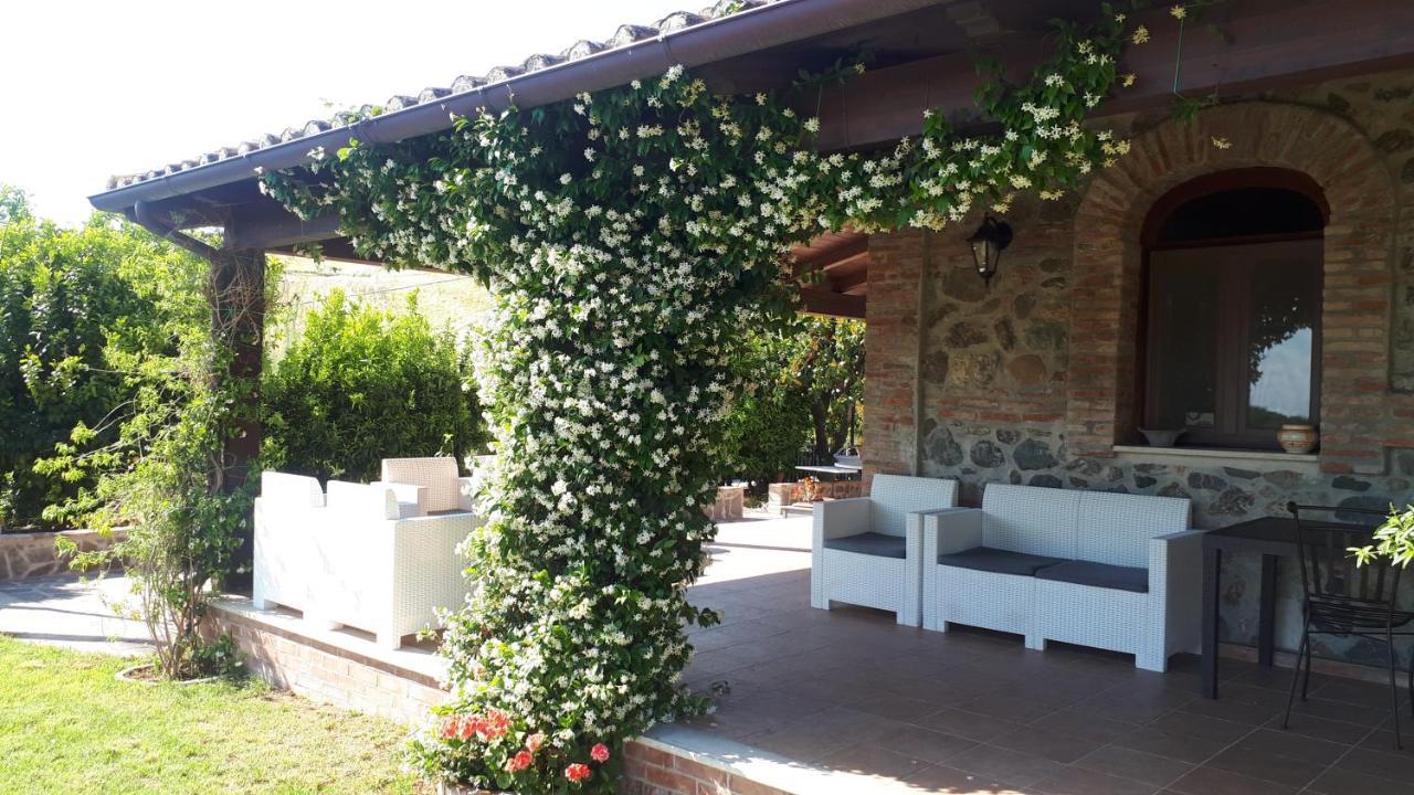 Agriturismo Trappeto Vecchio San Demetrio Corone Екстериор снимка