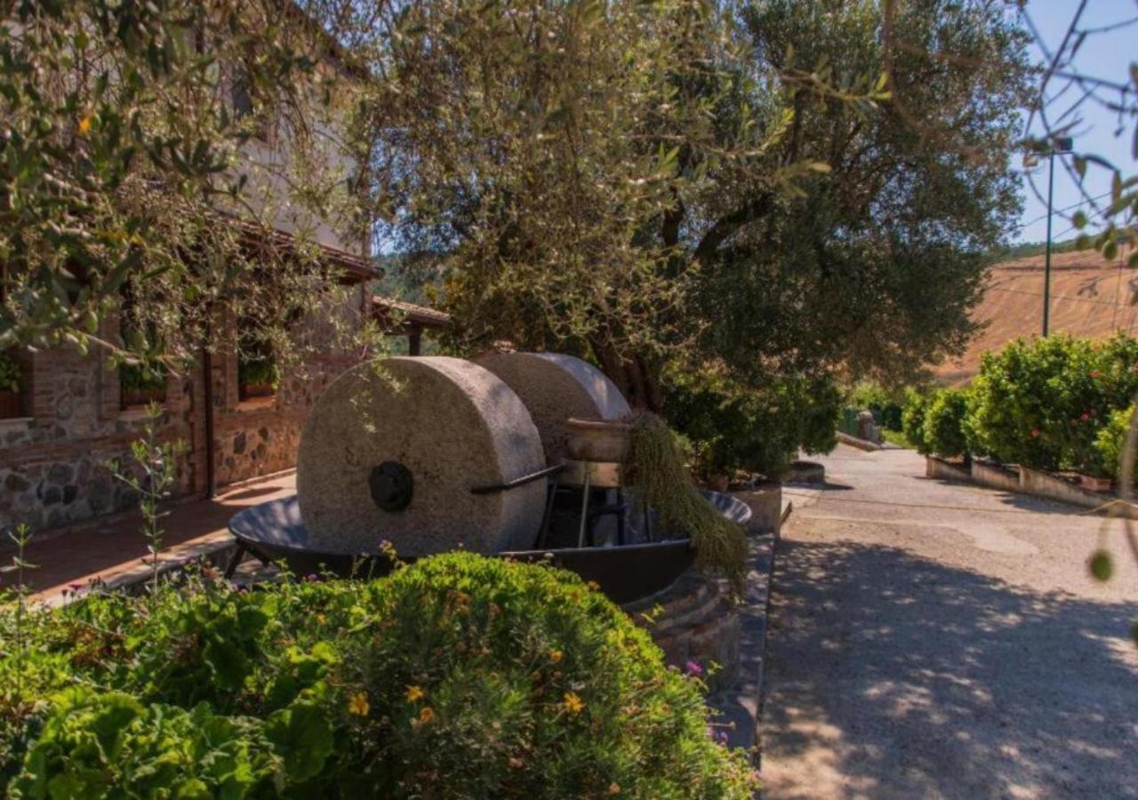 Agriturismo Trappeto Vecchio San Demetrio Corone Екстериор снимка