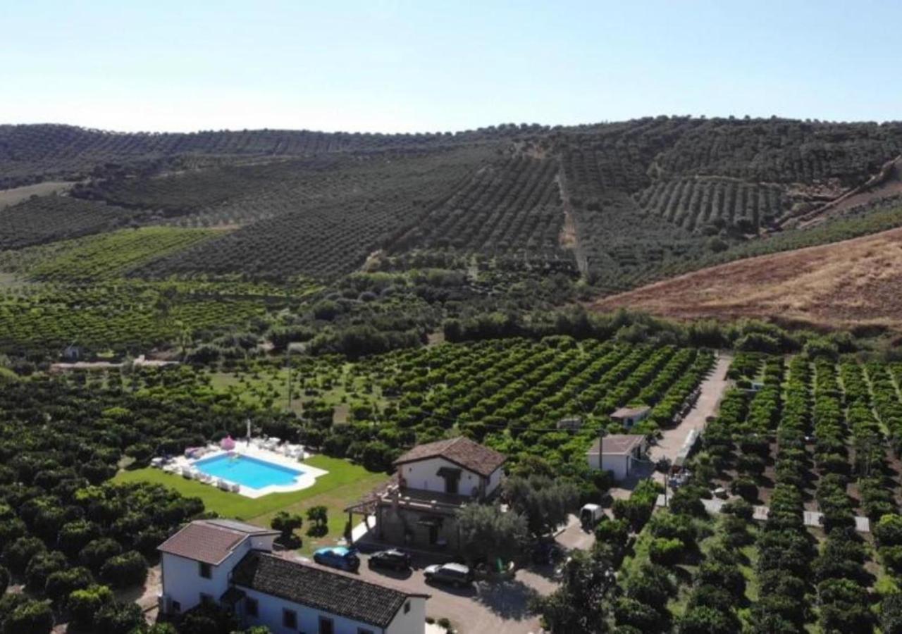 Agriturismo Trappeto Vecchio San Demetrio Corone Екстериор снимка